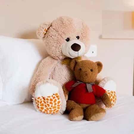 Mercure Moulins Centre De Paris 4*